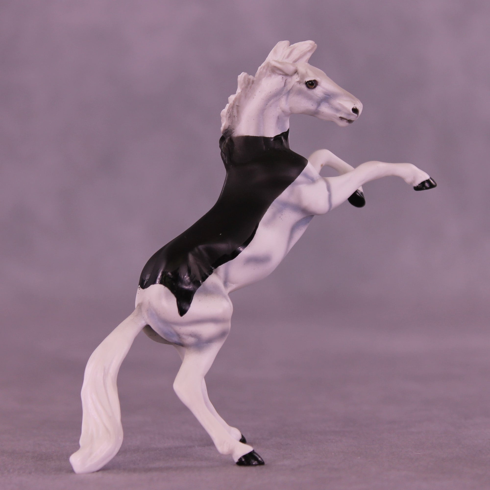 Count Tack-ula OOAK Chip Mustang by Dawn Quick VV26