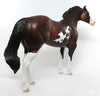 Stock Horse