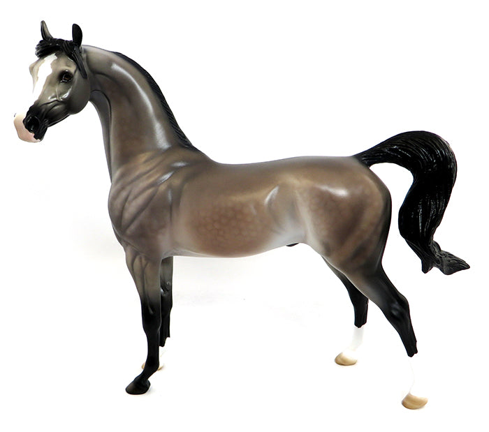 cyrus
