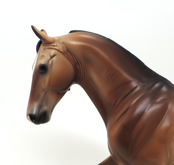 DUST DEVIL - BUCKSKIN TENNESSEE WALKER by Caroline Boydston - D2 LEFT REAR WHITE SOCK -10/9