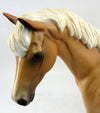 Apricot Palomino
