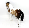 DARTANIAN~OOAK DAPPLE BUCKSKIN PAINT ANDALUSIAN MODEL HORSE 3/21