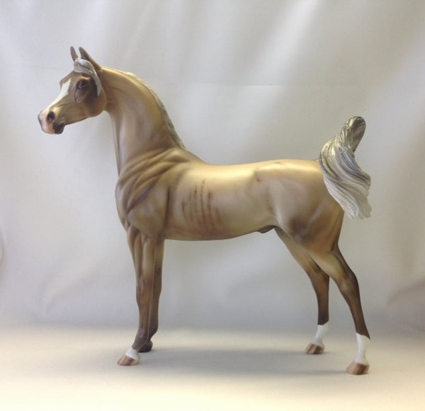 CANNOLI - Chestnut Rabicano Arabian 1/15