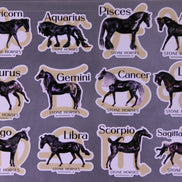 Zodiac Decorator Stickers - Limited Edition