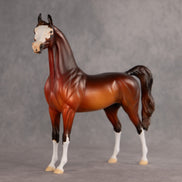 Deja Rouge OOAK Arabian Stallion by Alex Fortman EQ26
