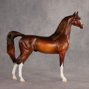 Deja Rouge OOAK Arabian Stallion by Alex Fortman EQ26