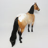DENALI-LE-5 CUSTOM BUCKSKIN APPALOOSA ISH MODEL HORSE EQ 2017