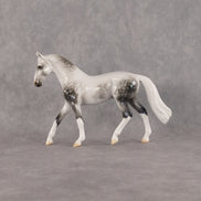 Deneb OOAK Chip Warmblood by Ellen Robbins SCD26
