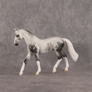 Deneb OOAK Chip Warmblood by Ellen Robbins SCD26