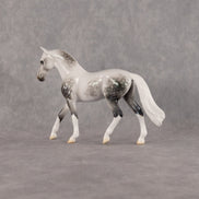 Deneb OOAK Chip Warmblood by Ellen Robbins SCD26