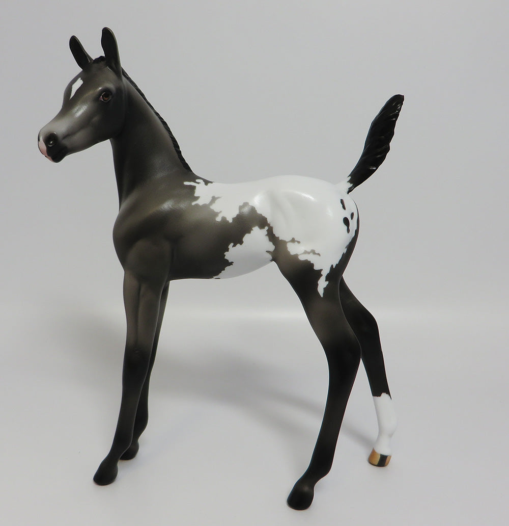 DIEGO-LE-6 GRULLA APPALOOSA FOAL MODEL HORSE 7/17