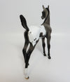 DIEGO-LE-6 GRULLA APPALOOSA FOAL MODEL HORSE 7/17