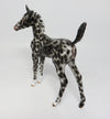 Appaloosa