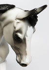 Paint Horse