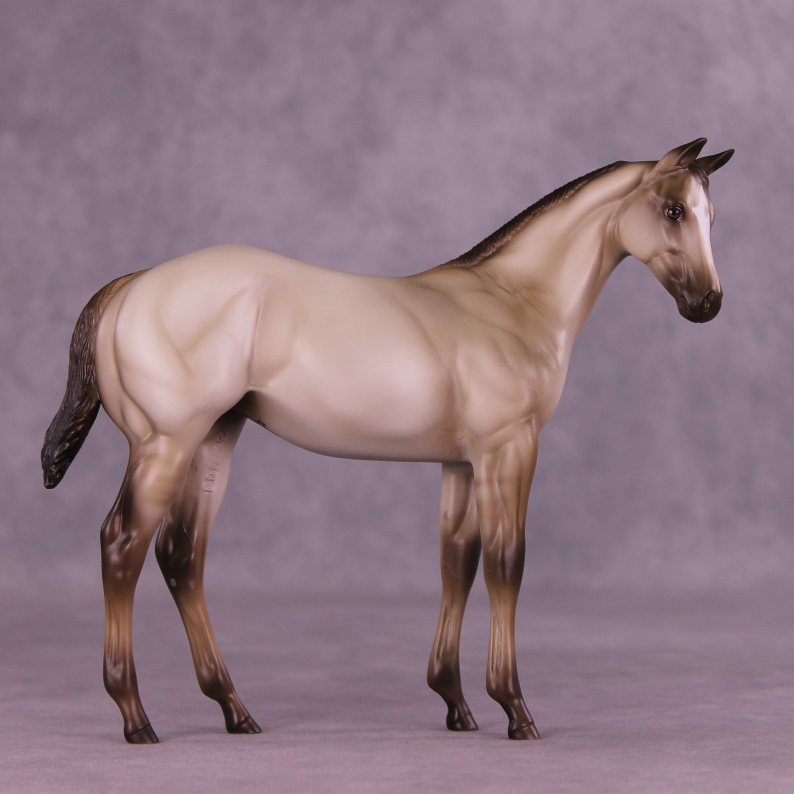 Dove OOAK Stock Horse Weanling by Erin Corbett MM25 Group D