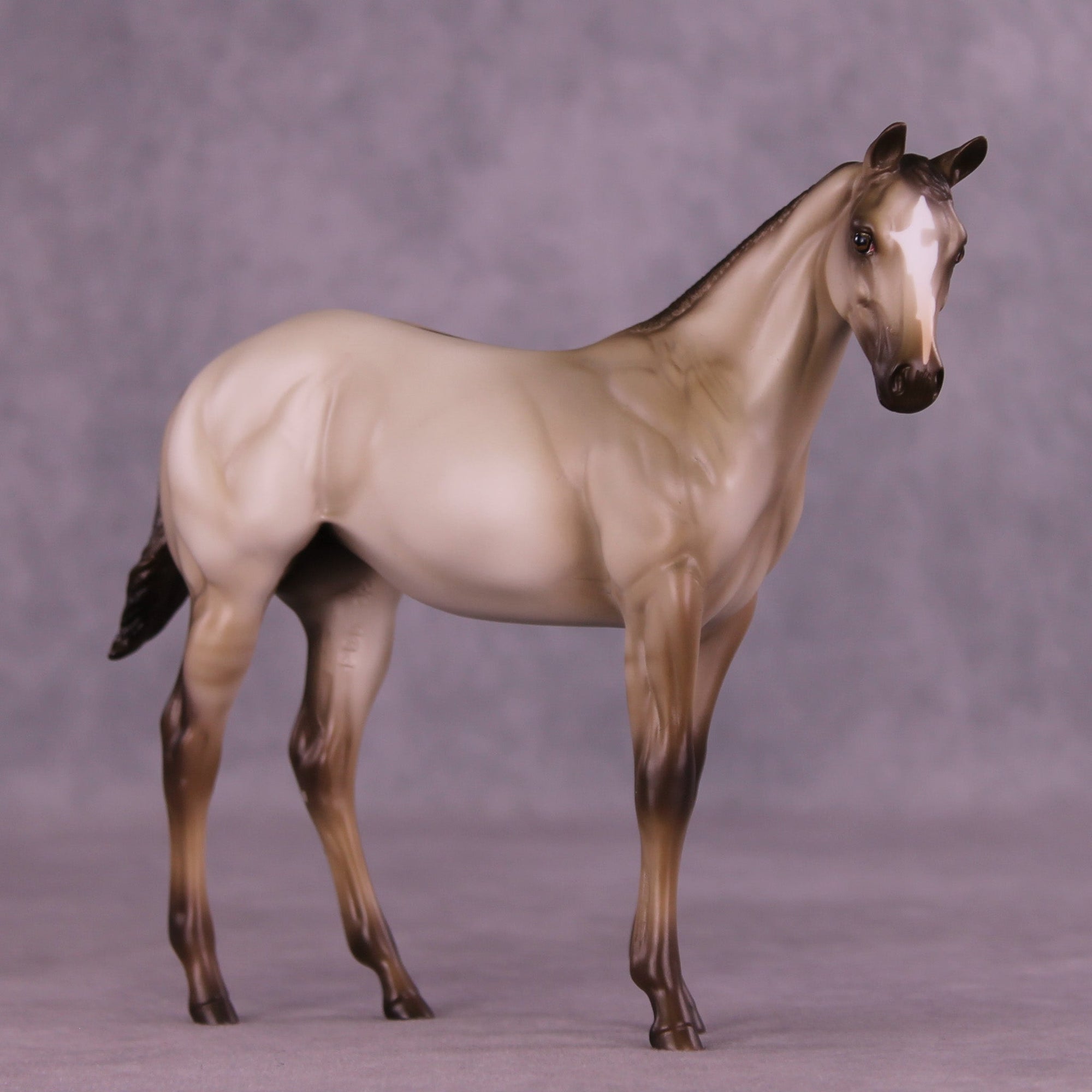 Dove OOAK Stock Horse Weanling by Erin Corbett MM25 Group D