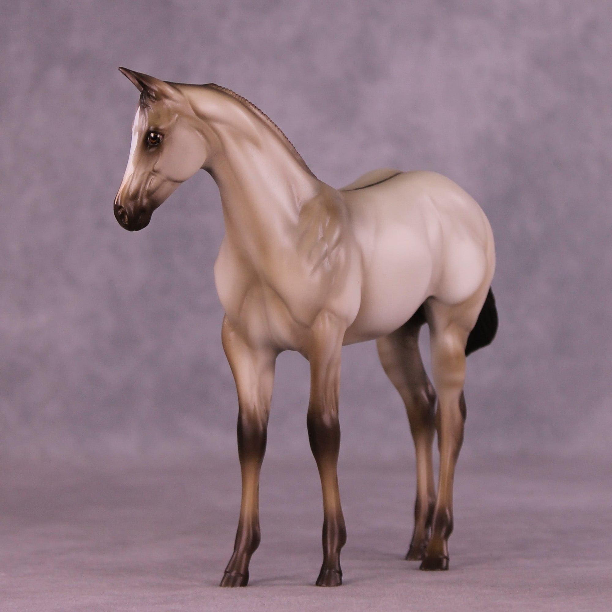 Dove OOAK Stock Horse Weanling by Erin Corbett MM25 Group D