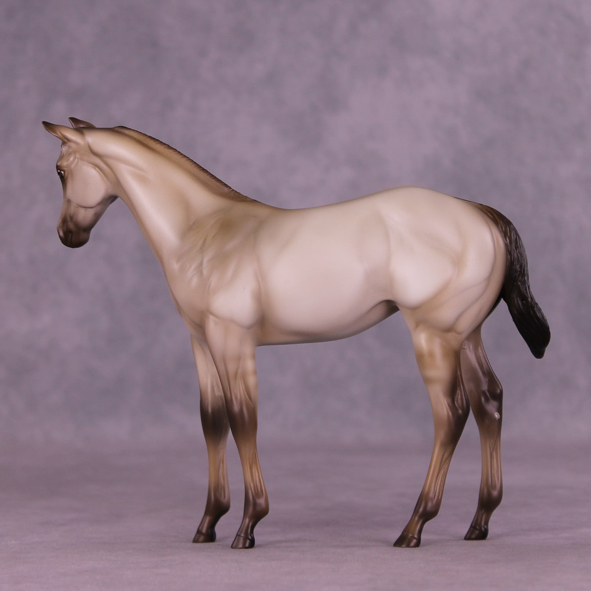 Dove OOAK Stock Horse Weanling by Erin Corbett MM25 Group D