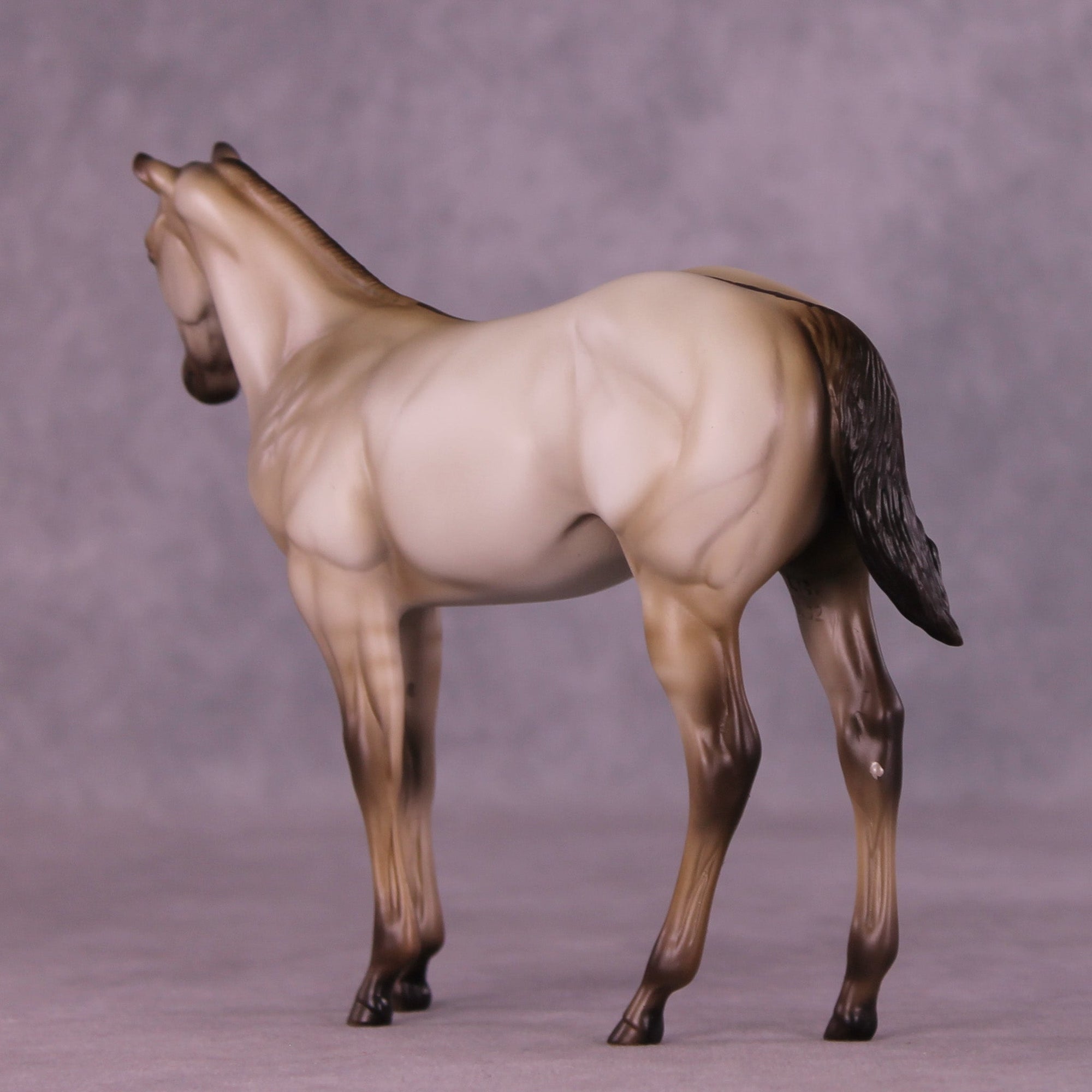 Dove OOAK Stock Horse Weanling by Erin Corbett MM25 Group D