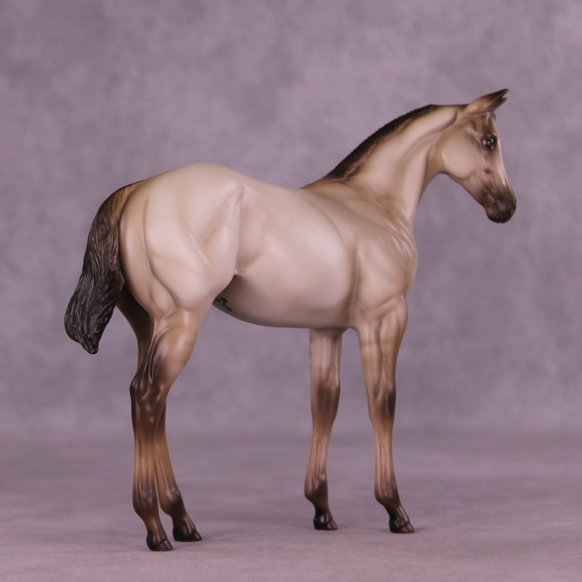 Dove OOAK Stock Horse Weanling by Erin Corbett MM25 Group D
