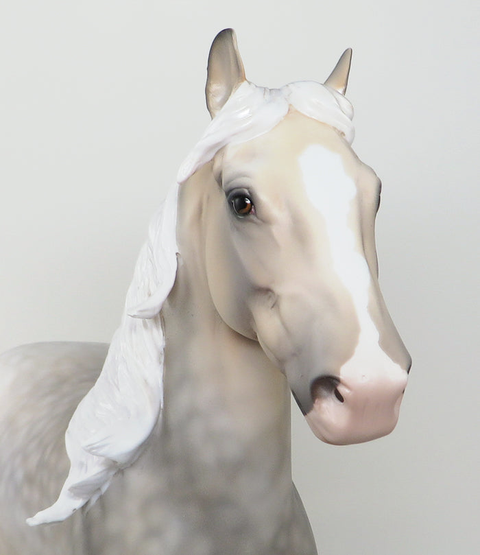 one of a kind trotting drafter