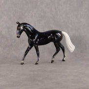 Dubhe OOAK Chip Warmblood by Ellen Robbins SCD26