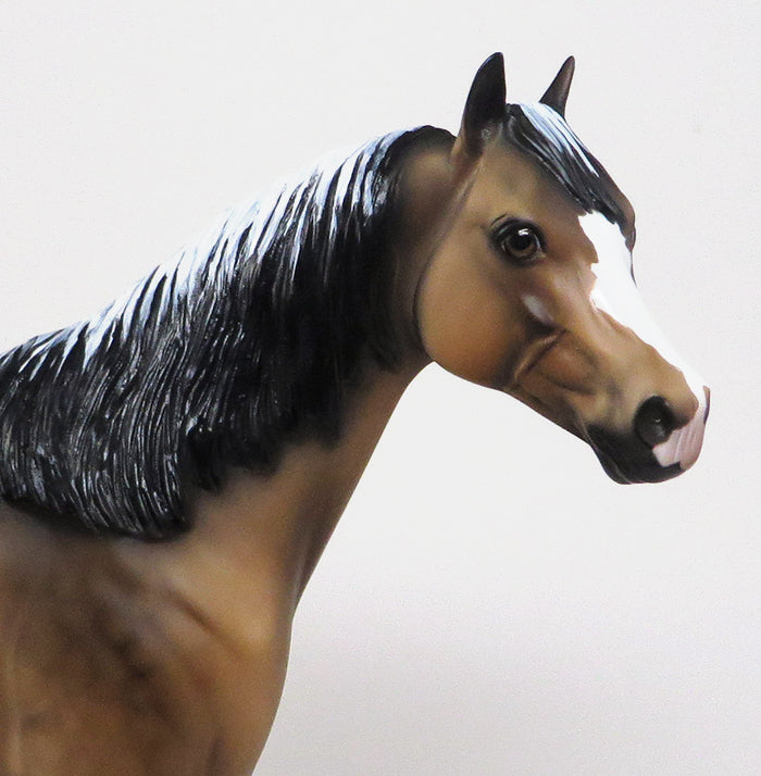 One of a Kind Quarter Horse