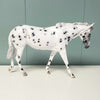 Gracie SAMPLE Appaloosa Pebble Mule By Jess Hamill EQ24 From the AotH 3D Art Entry By Kristy Thiessen SS1024