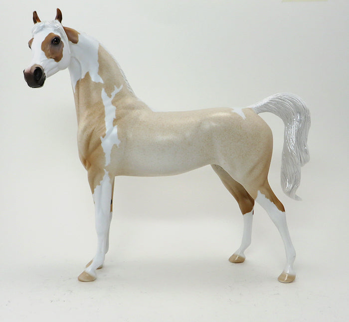 MIKA-PALOMINO ROAN ARABIAN-OOAK 10/9