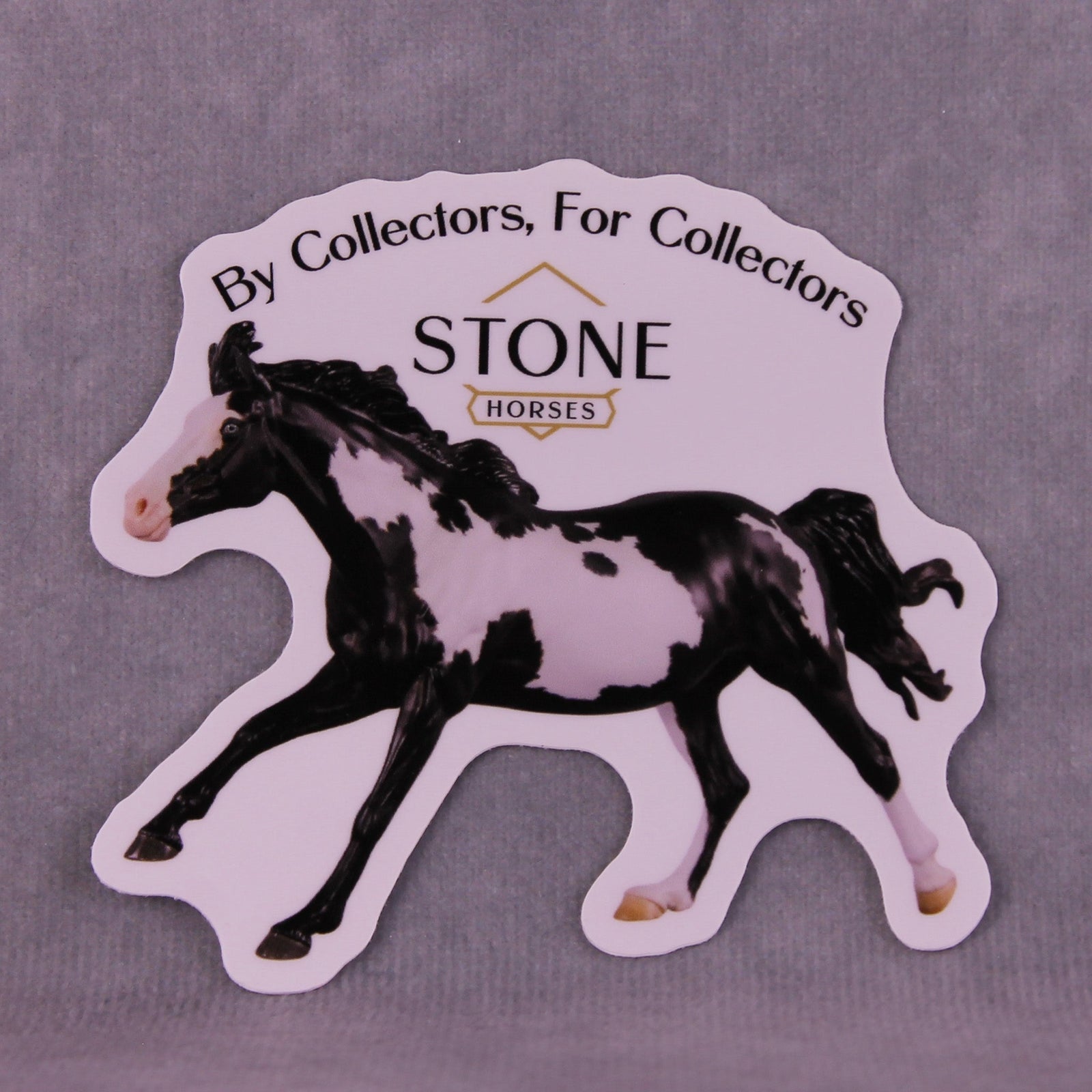 Echo in the Canyon Volo by Carrie Keller Sticker 2025 Limited Edition