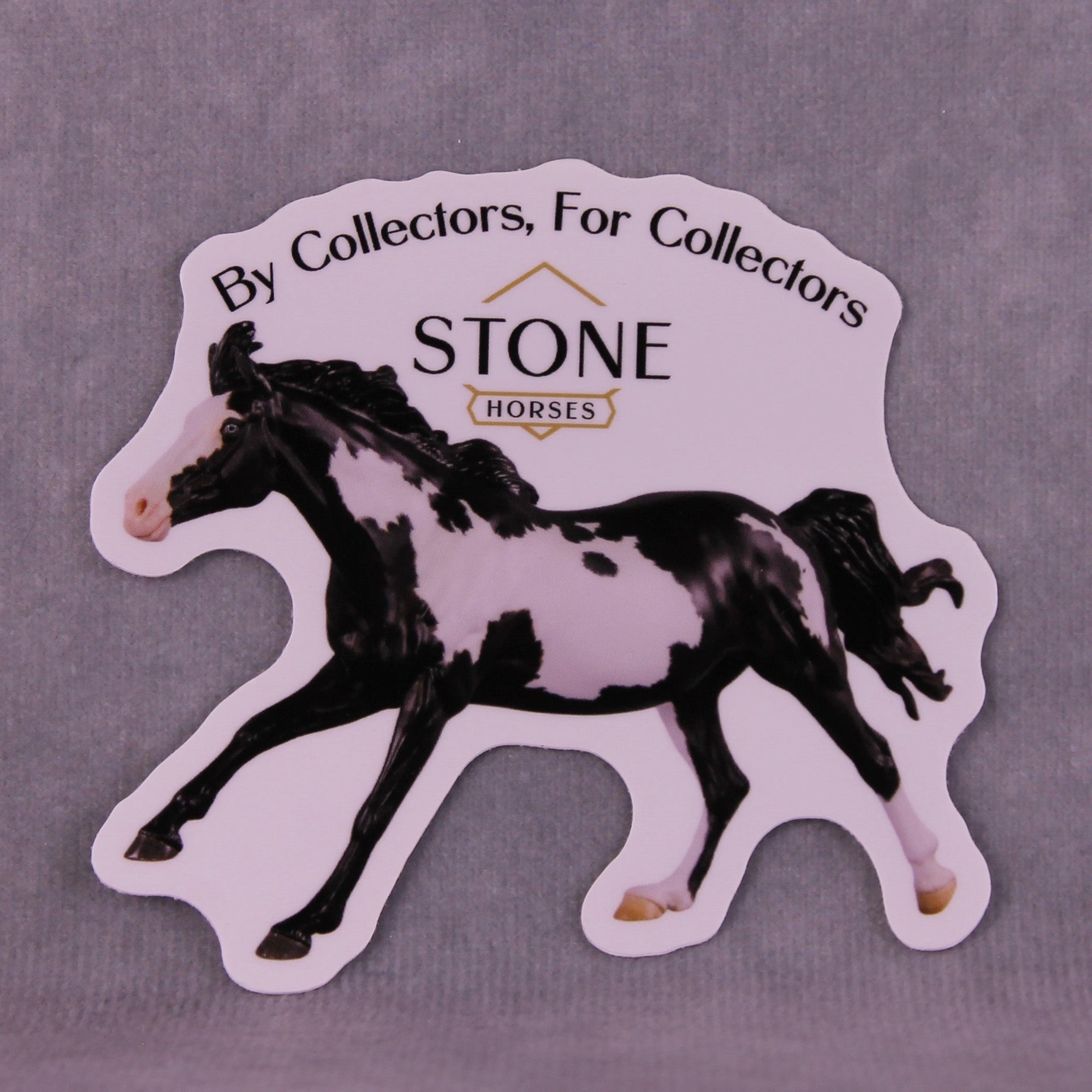 Echo in the Canyon Volo by Carrie Keller Sticker 2025 Limited Edition