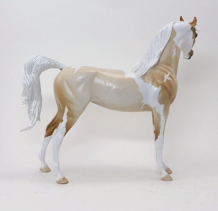MIKA-PALOMINO ROAN ARABIAN-OOAK 10/9