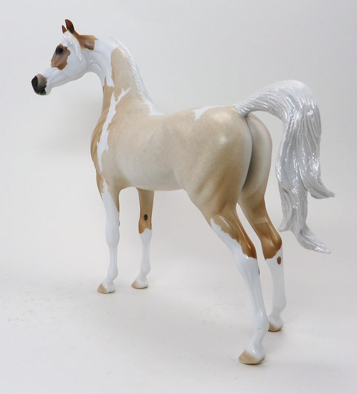 MIKA-PALOMINO ROAN ARABIAN-OOAK 10/9