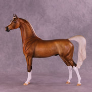 Eggnog Eddie OOAK Arabian Stallion by Julie Keim HS25