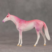 Eleganza OOAK Chip Thoroughbred  by Jess Hamill VV26