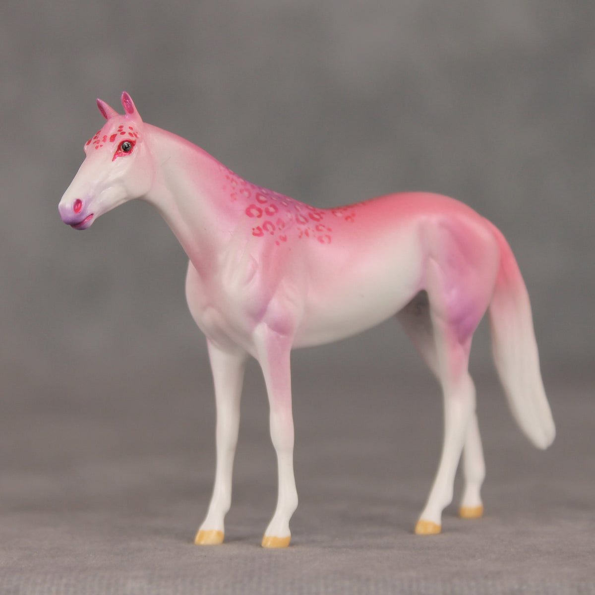 Eleganza OOAK Chip Thoroughbred  by Jess Hamill VV26