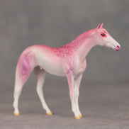 Eleganza OOAK Chip Thoroughbred  by Jess Hamill VV26