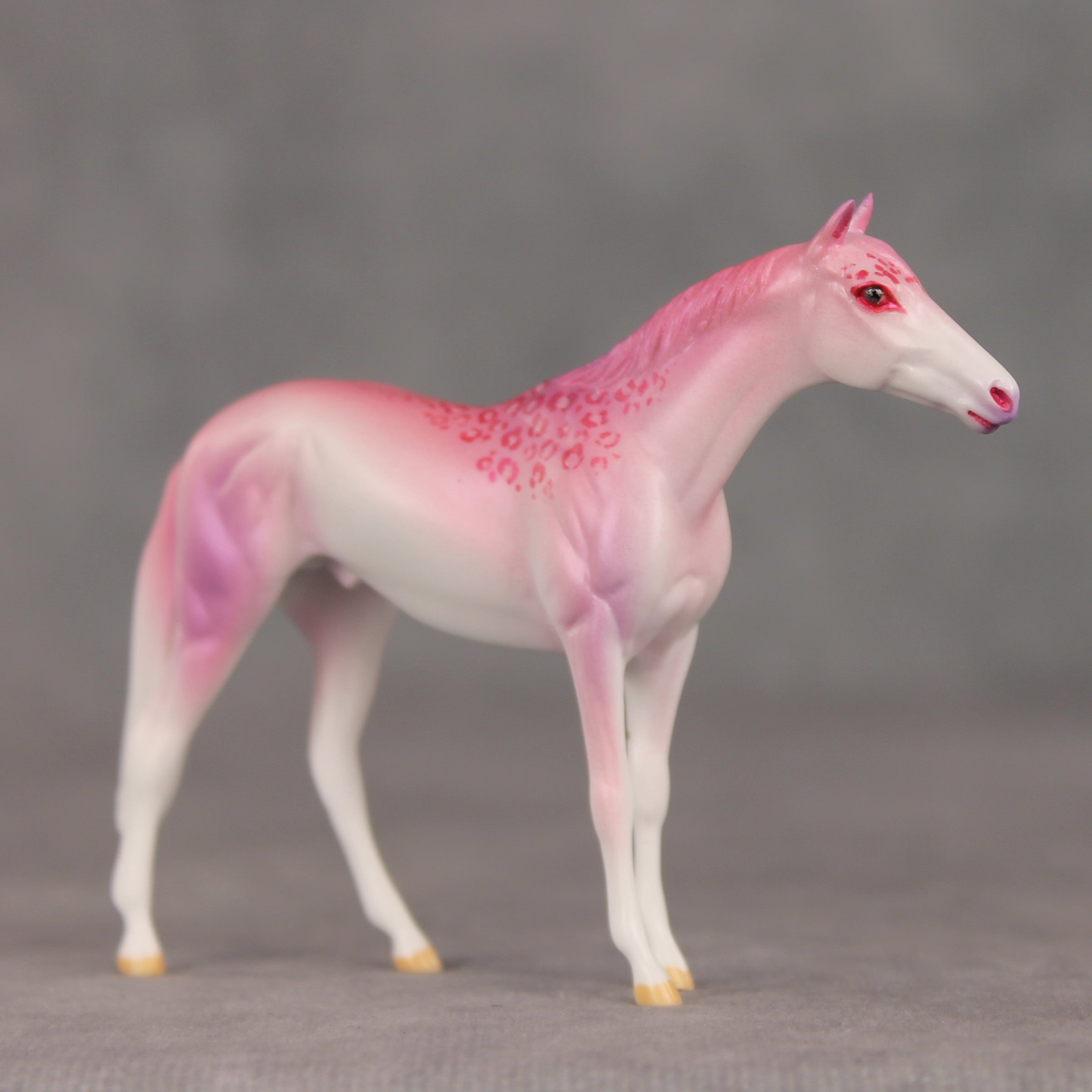 Eleganza OOAK Chip Thoroughbred  by Jess Hamill VV26