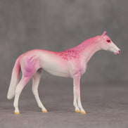 Eleganza OOAK Chip Thoroughbred  by Jess Hamill VV26