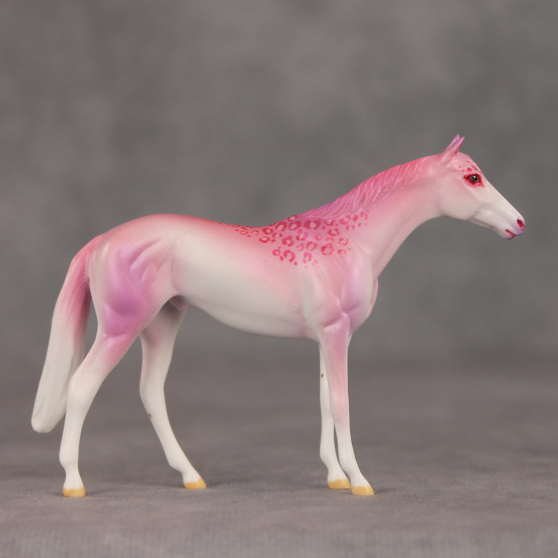 Eleganza OOAK Chip Thoroughbred  by Jess Hamill VV26