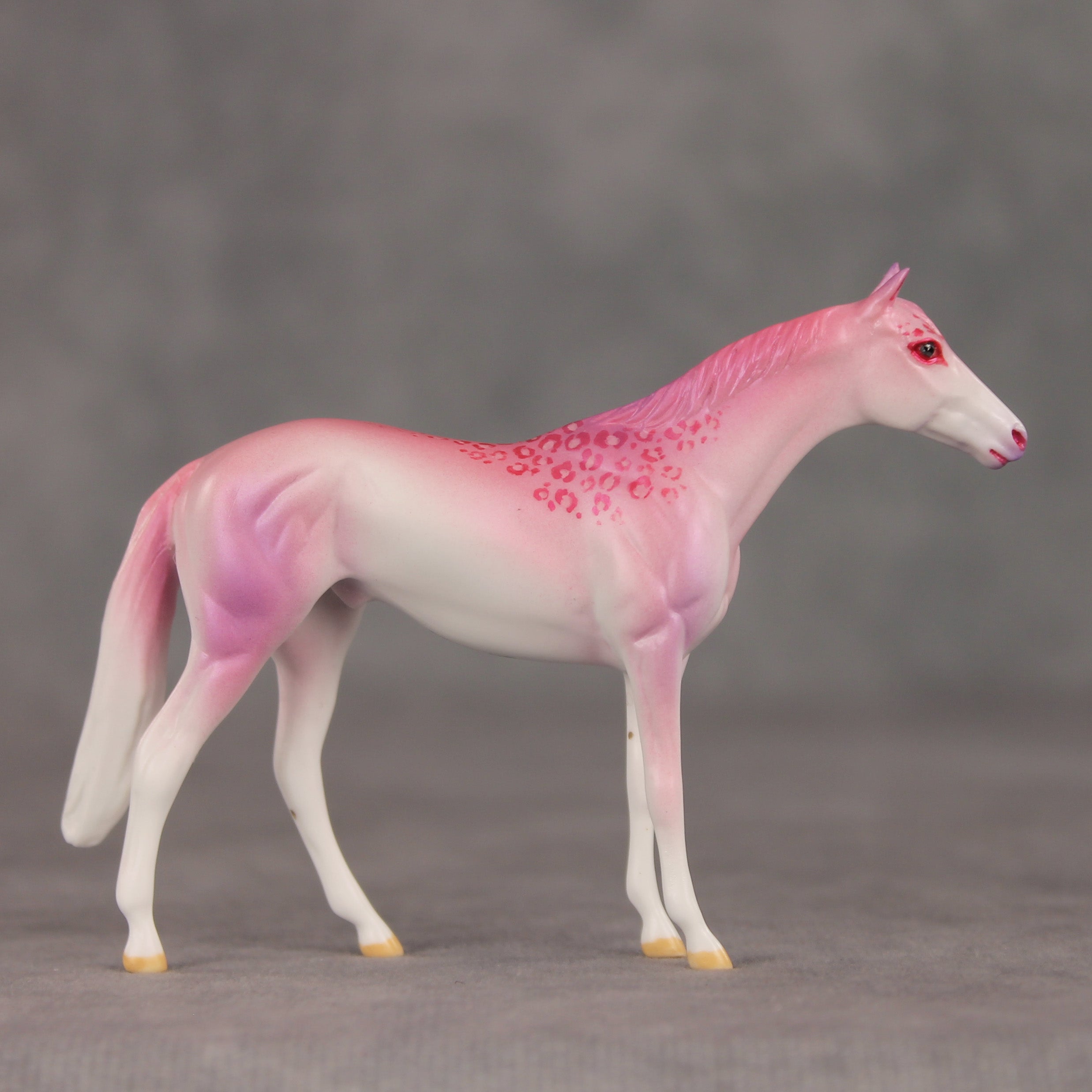 Eleganza OOAK Chip Thoroughbred  by Jess Hamill VV26