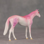 Eleganza OOAK Chip Thoroughbred  by Jess Hamill VV26