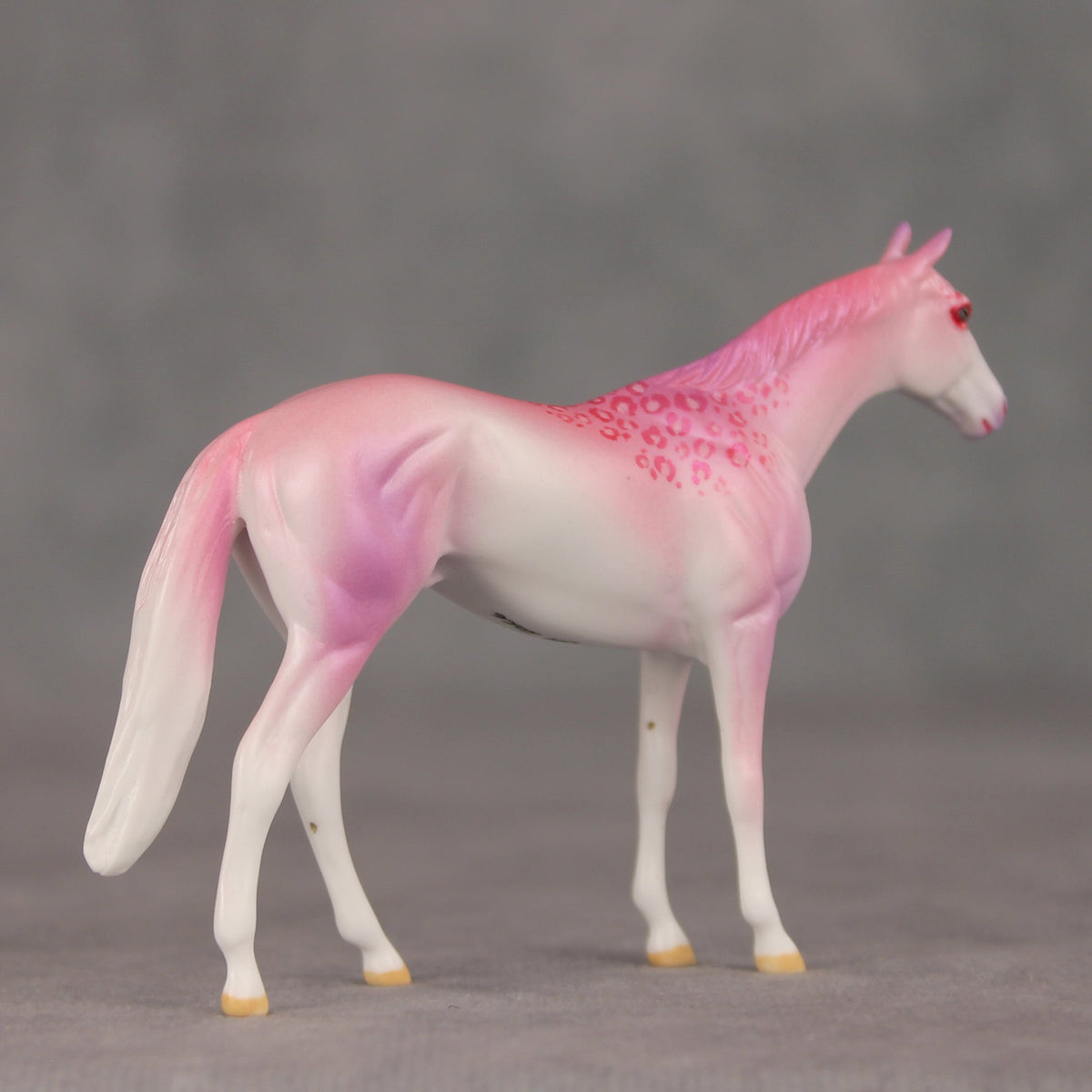 Eleganza OOAK Chip Thoroughbred  by Jess Hamill VV26