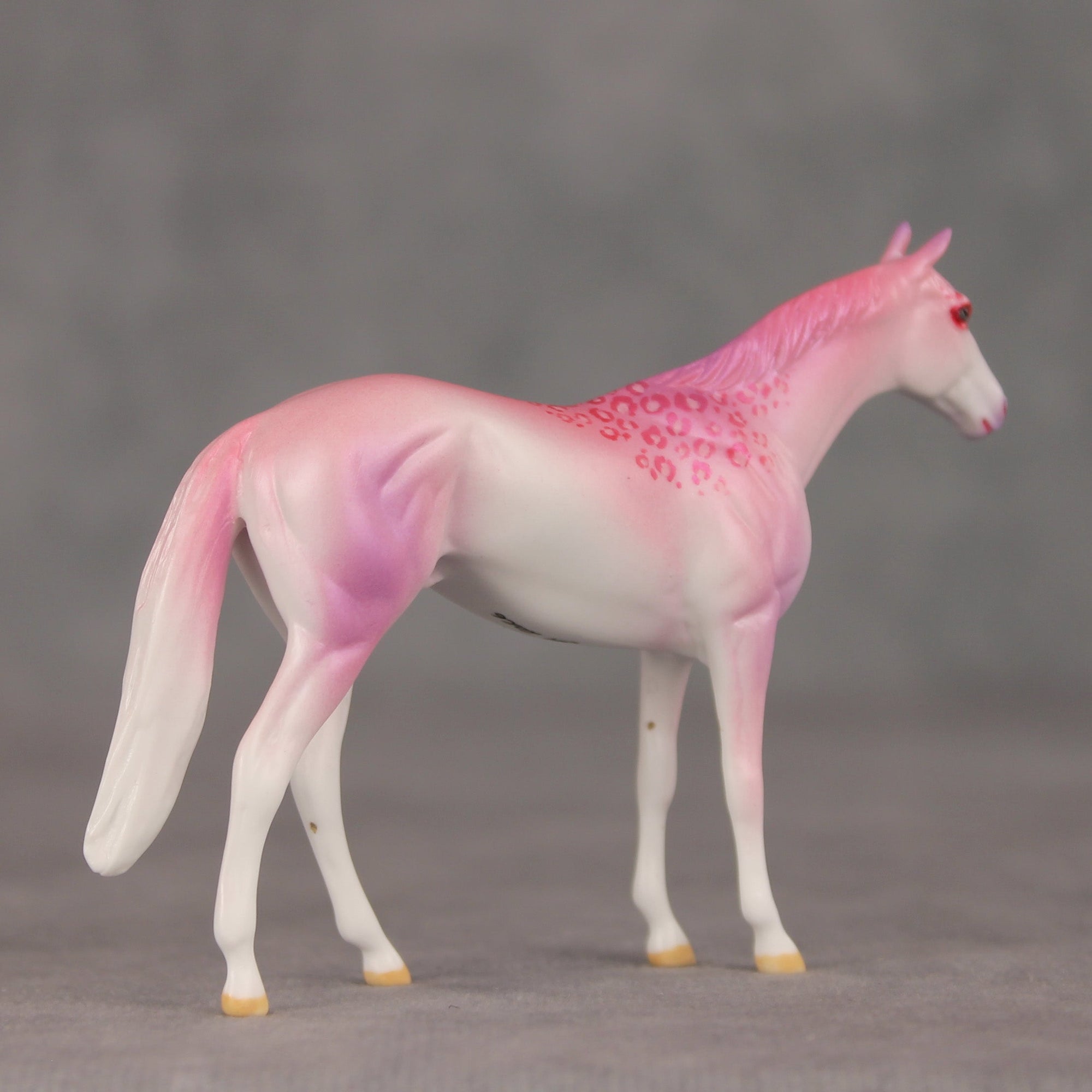 Eleganza OOAK Chip Thoroughbred  by Jess Hamill VV26