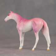 Eleganza OOAK Chip Thoroughbred  by Jess Hamill VV26