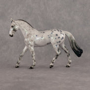 Eltanin OOAK Chip Warmblood by Ellen Robbins SCD26