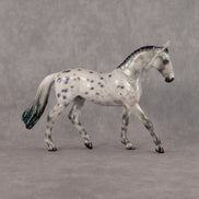Eltanin OOAK Chip Warmblood by Ellen Robbins SCD26