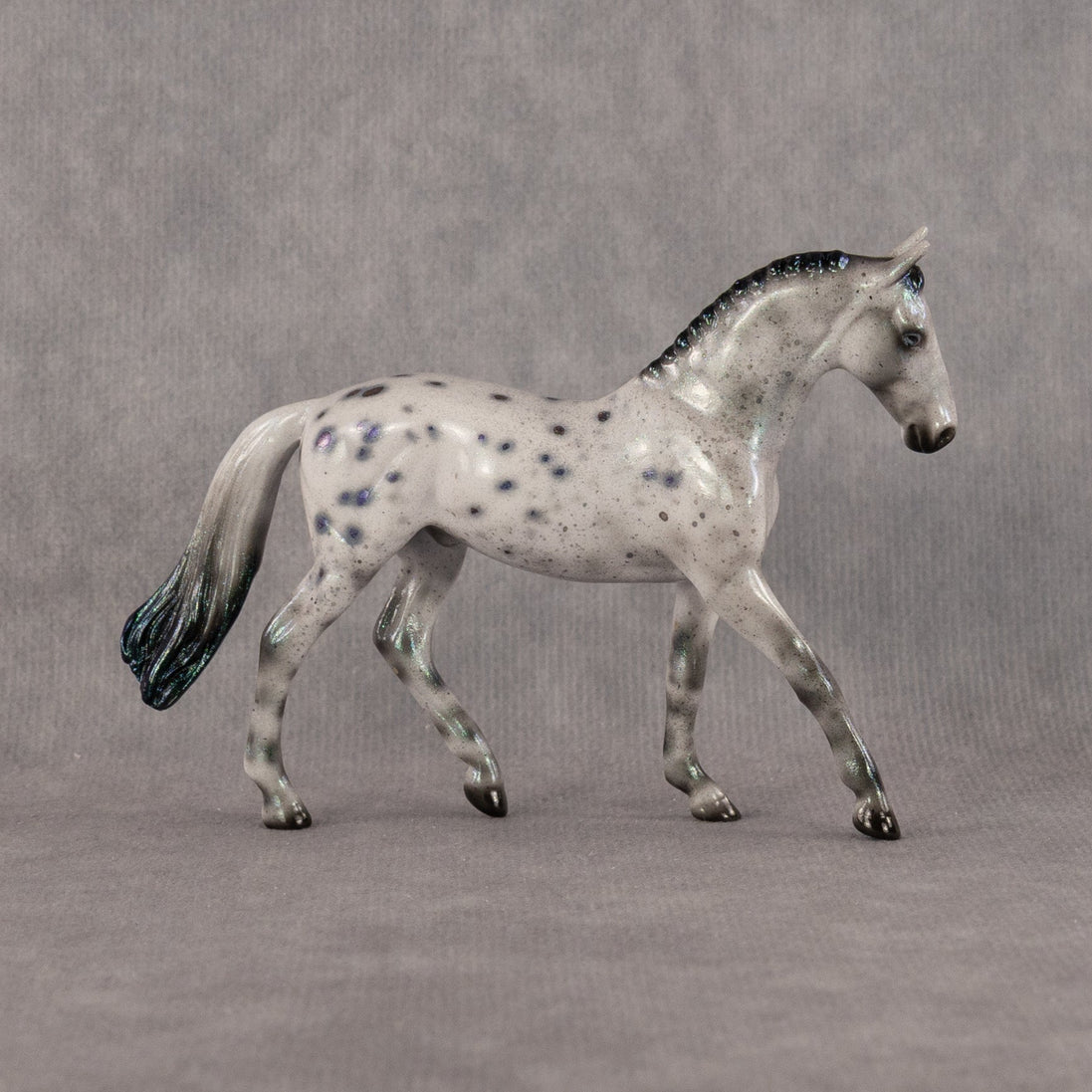 Eltanin OOAK Chip Warmblood by Ellen Robbins SCD26