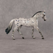 Eltanin OOAK Chip Warmblood by Ellen Robbins SCD26