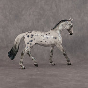 Eltanin OOAK Chip Warmblood by Ellen Robbins SCD26